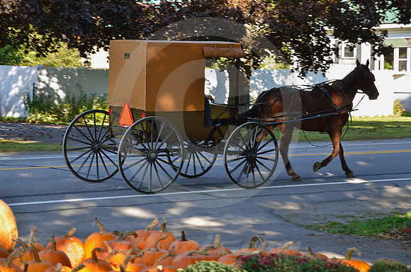 AMISH BUGGY & PUMPKINS (Erie Canal Palatine Bridge NY)