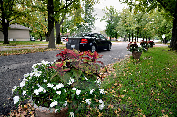 FALL FLOWERS (Rt 66 St James MO)