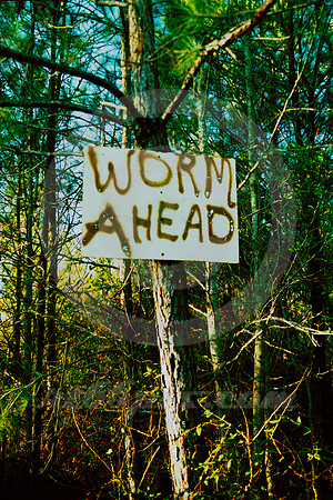 WORM AHEAD (East TX)