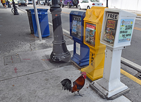 KEY WEST #33 (Key West FL)