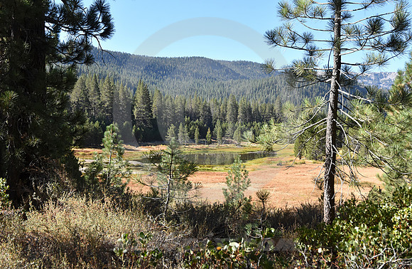 ALPINE MEADOW (nr Donner Lake CA)