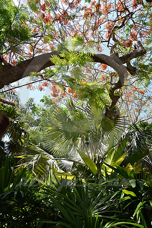 KEY WEST #146 (Key West FL)