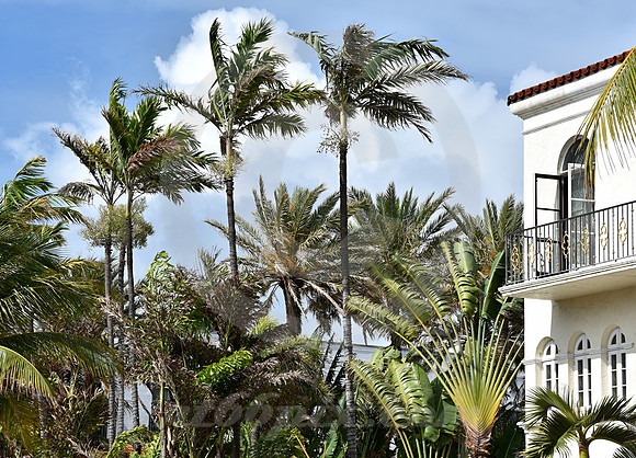 MIAMI BEACH #223 (Miami Beach FL)