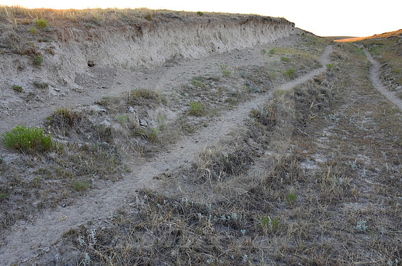 CALIFORNIA HILL #9 (nr Brule NE)