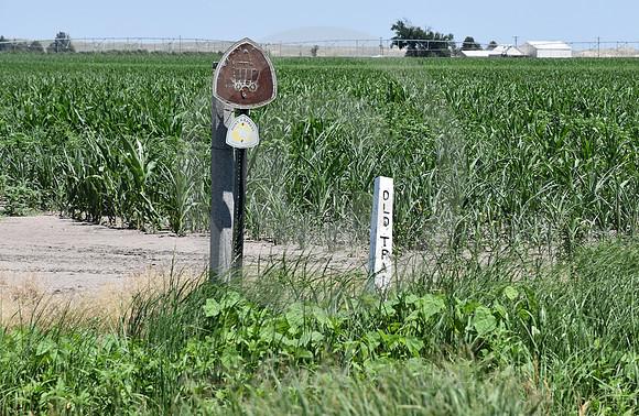 TRAIL MARKERS #1 (nr Ovid CO)
