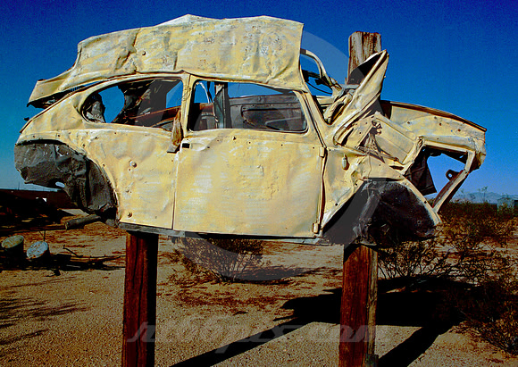 FLAT BUG (Rt 66 Goffs CA)