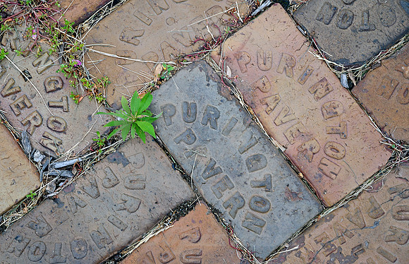 PURINGTON PAVERS (Lincoln Highway Sterling IL)