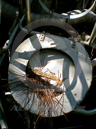 UPSIDE-DOWN TOILET SEAT (Lufkin TX)