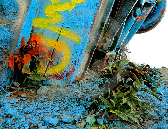 PAINTED WEEDS (Rt 66 Cadillac Ranch TX)
