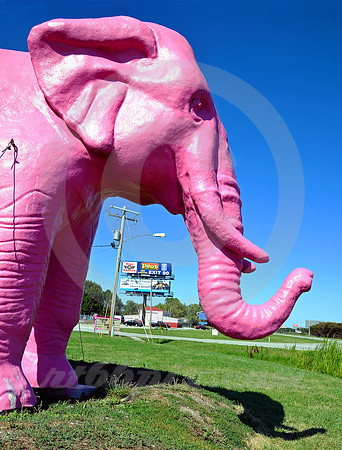 PINK ELEPHANT (Rt 66 Livingston IL)