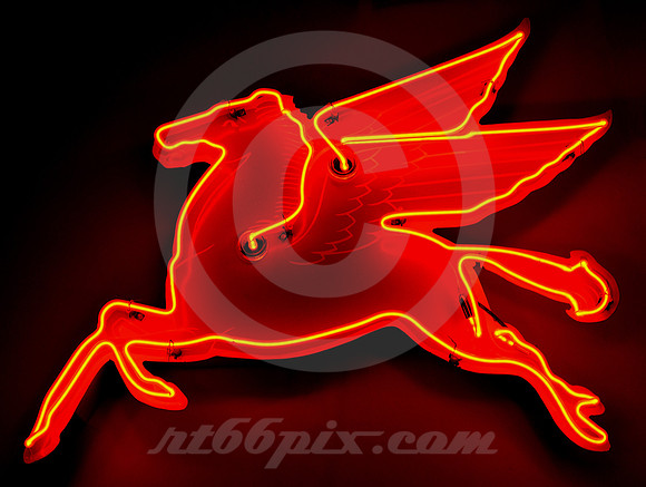 PEGASUS NEON (Tulsa OK)