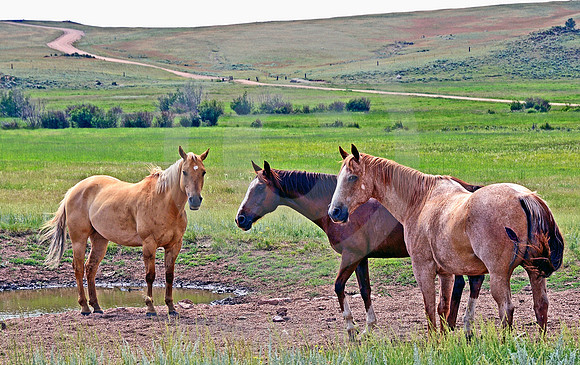 HERMOSA ROAD #2 (Lincoln Highway nr Sherman WY)