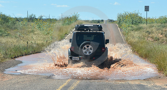 MUD PUDDLE #2 (Rt 66 nr Montoya NM)