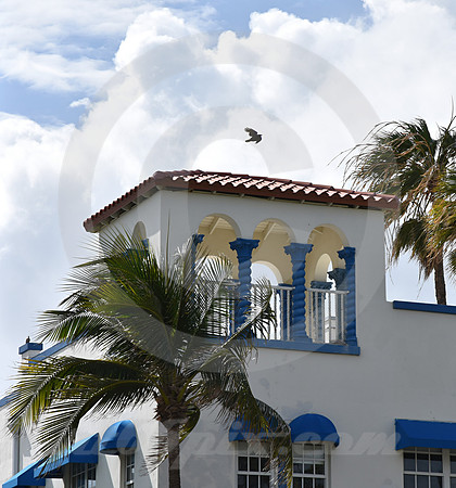 MIAMI BEACH #56 (Miami Beach FL)