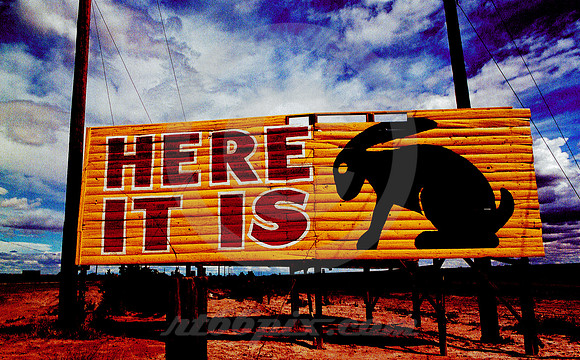 HERE IT IS, RABBIT (Rt 66 Jackrabbit AZ)