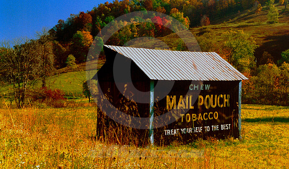 MAIL POUCH BARN (nr Wadestown WV)