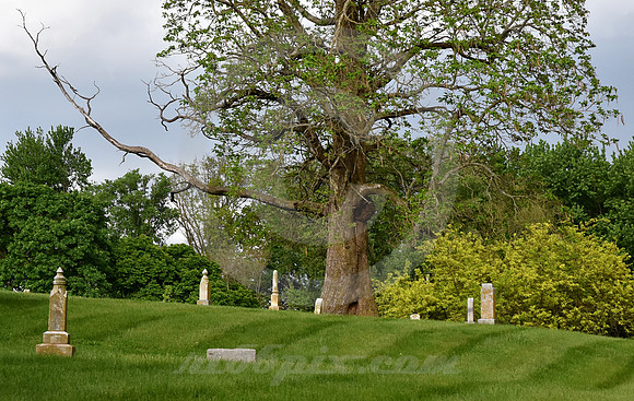 CEMETERY SWALE #5 (Grand Pass MO)