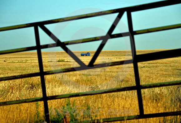 M GATE (Rt 66 Landergin TX)