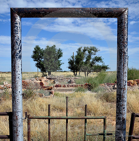 GATE, TREES & RUIN (Rt 66 nr Endee NM)