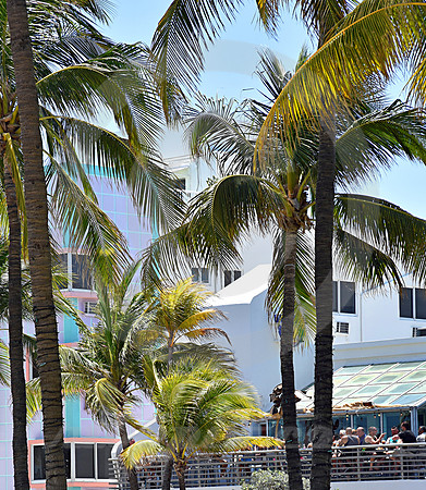 MIAMI BEACH #142 (Miami Beach FL)