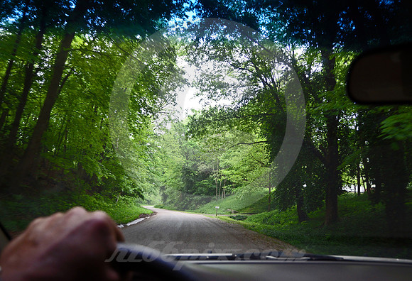 GREEN CANOPY (National Road nr Marshall IL)