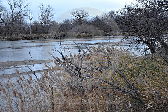 PLATTE RIVER #2 (nr Gibbon NE)