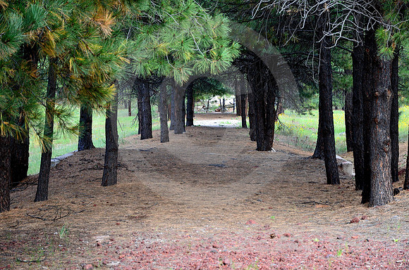 ABANDONED SECTION (Rt 66 nr Parks AZ)