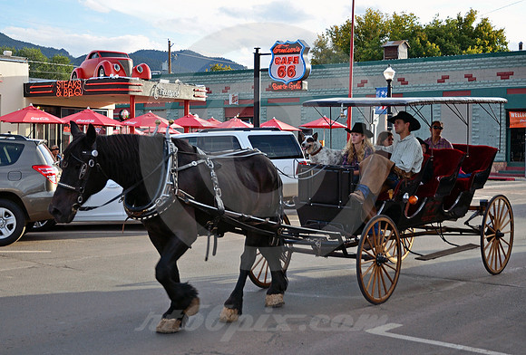 HORSE & BUGGY (Rt 66 Williams AZ)