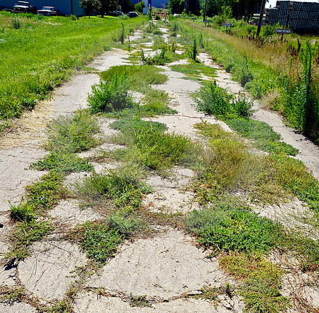 SEEDLING MILE #1 (Lincoln Highway Grand Island NE)