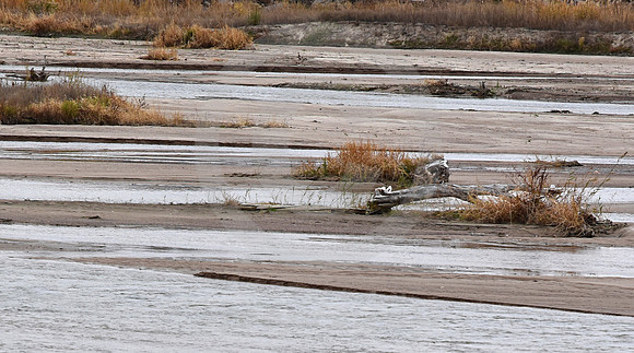 PLATTE RIVER #3 (nr Gibbon NE)
