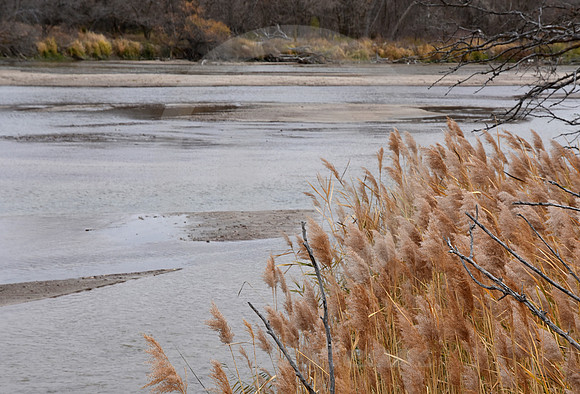 PLATTE RIVER #5 (nr Gibbon NE)
