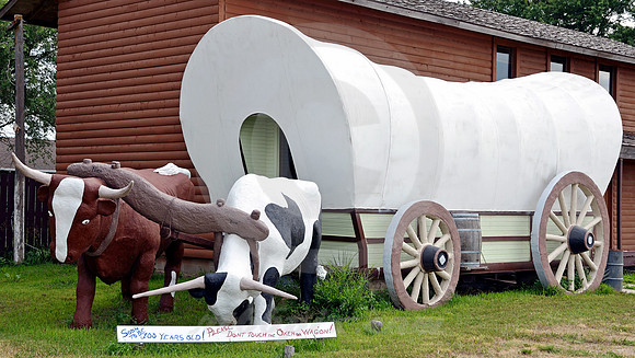 OXEN & WAGON (Lincoln Highway nr Kearney NE)