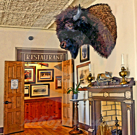 RESTAURANT & BUFFALO (Cimarron NM)