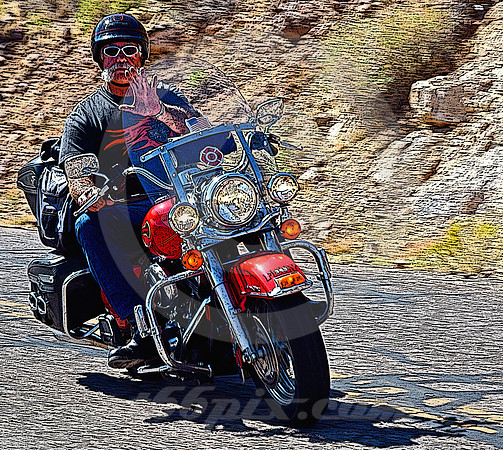 FDNY MOTORCYCLE (Rt 66 nr Oatman AZ)