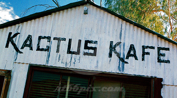 KACTUS KAFE (Rt 66 nr Oatman AZ)