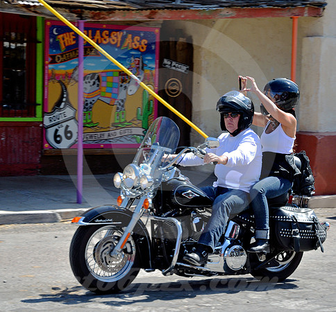 THE CLASSY ASS (Rt 66 Oatman AZ)