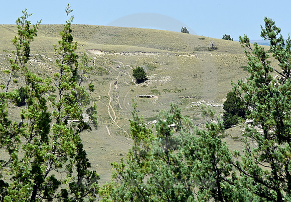 WINDLASS HILL #2 (nr Lewellen NE)