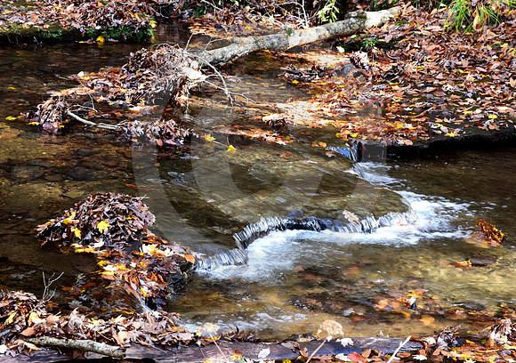 MINIATURES #2 (Natchez Trace nr Collinwood TN)