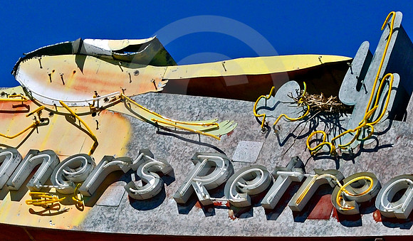 ROAD RUNNER'S NEST (Rt 66 nr Amboy CA)