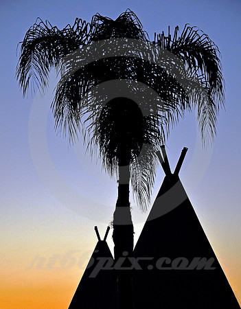 PALM OVER TWO WIGWAMS (Rt 66 San Bernardino CA)