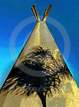 PALM SHADOW ON WIGWAM (Rt 66 San Bernardino CA)