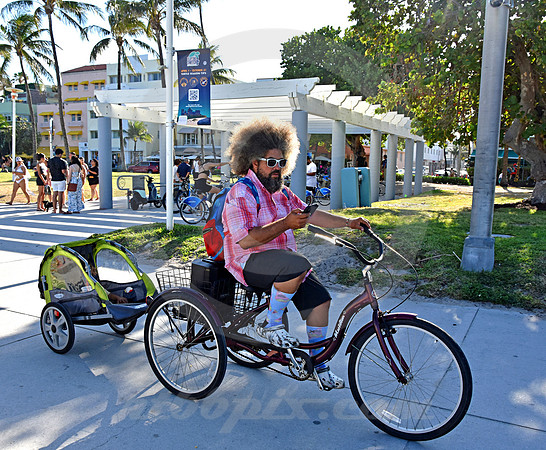 MIAMI BEACH #4 (Miami Beach FL)