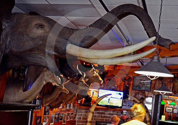 OLE'S #3 (Lincoln Highway Paxton NE)