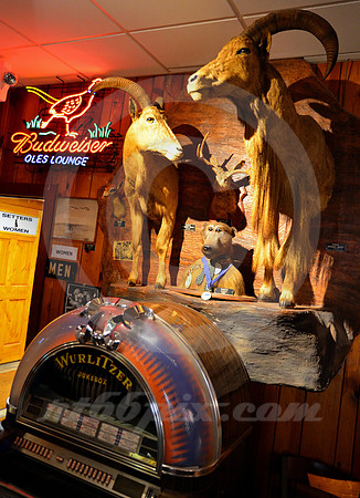 OLE'S #4 (Lincoln Highway Paxton NE)