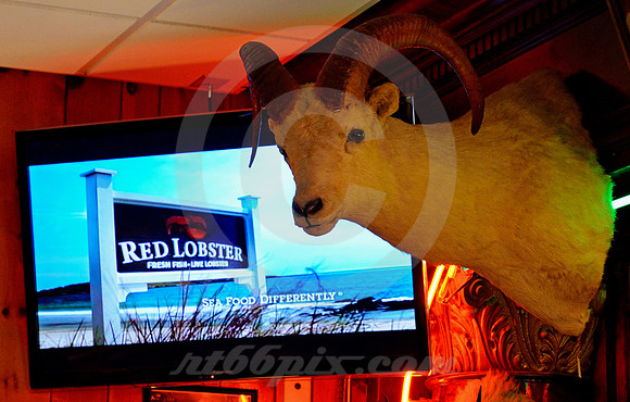 OLE'S #6 (Lincoln Highway Paxton NE)
