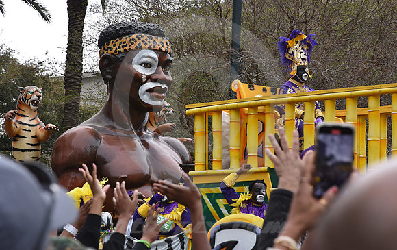 MARDI GRAS #140 (New Orleans LA)