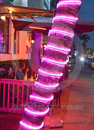 MIAMI BEACH #179 (Miami Beach FL)