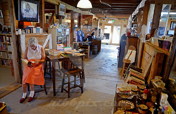 BOOKSTORE #1 (Lincoln Highway Bushnell NE)