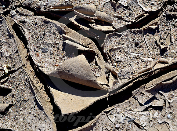 MUD #1 (Rt 66 nr Goffs CA)