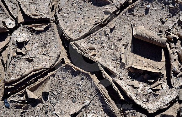 MUD #2 (Rt 66 nr Goffs CA)